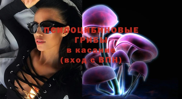 амф Майский