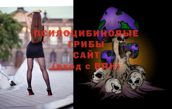 мдпв Осташков