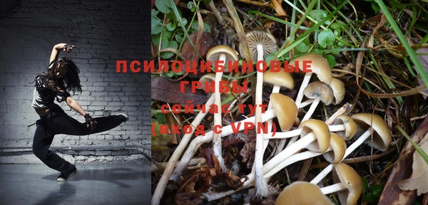 ГАЛЛЮЦИНОГЕННЫЕ ГРИБЫ Лиски
