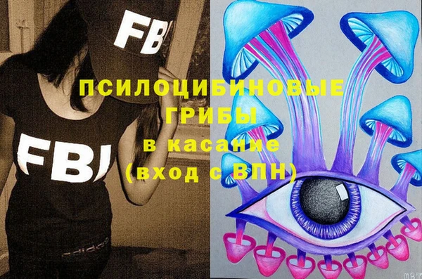 ГАЛЛЮЦИНОГЕННЫЕ ГРИБЫ Лиски