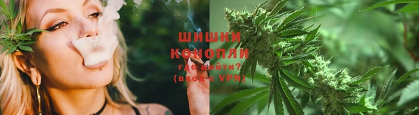 молекула духа Бородино