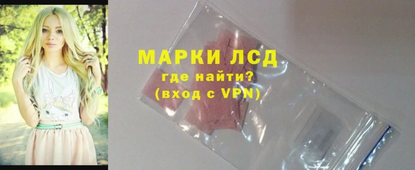 прущие грибы Бронницы